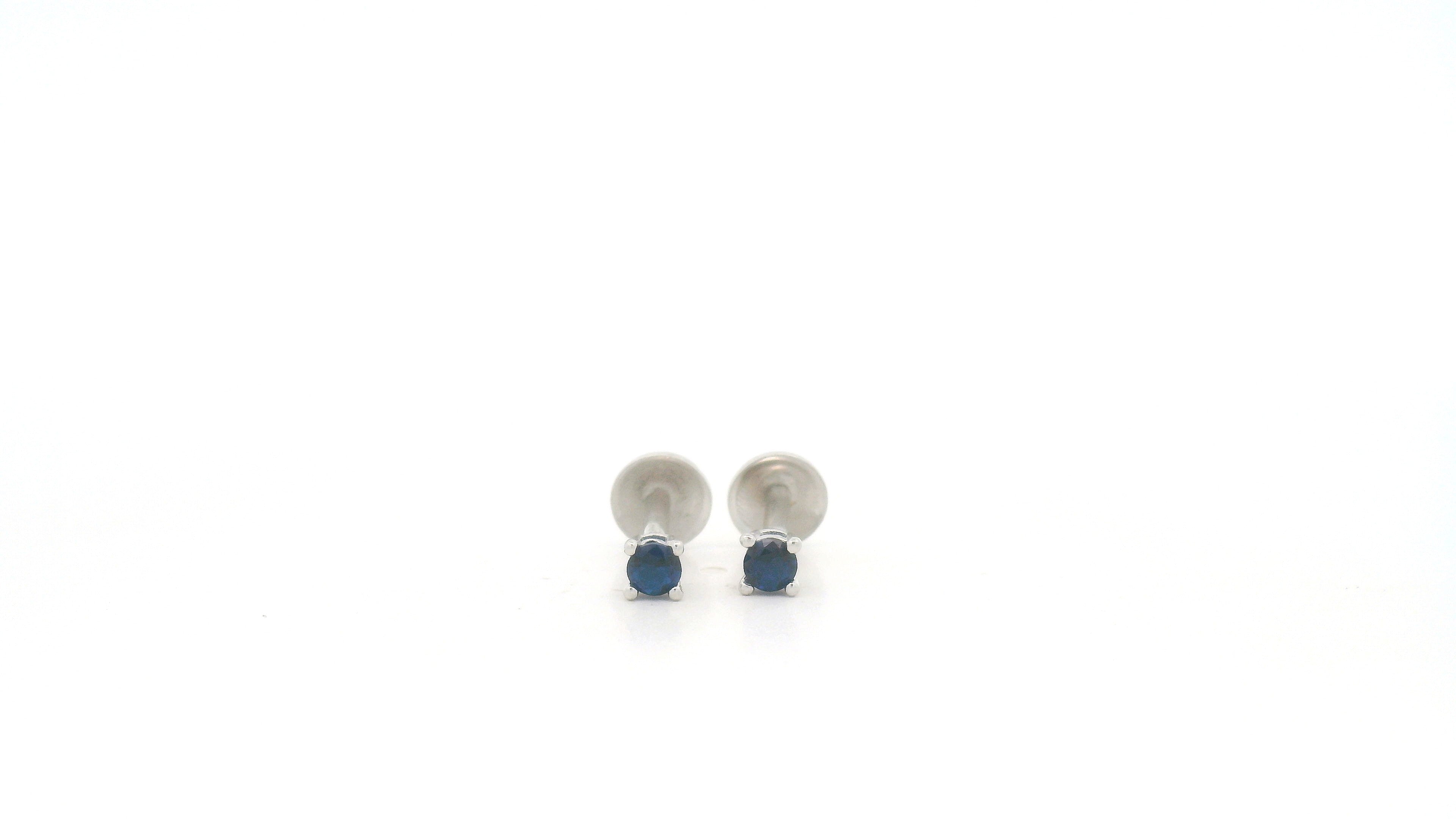 Silver Earrings with Blue Accents for Womens